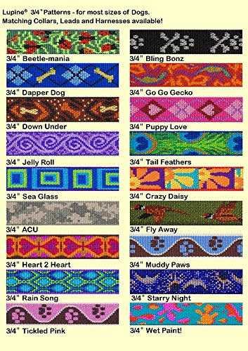 COLLAR 10-14(M)CRAZY DAISY