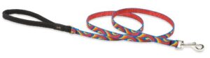 1/2in Lollipop 6ft Leash