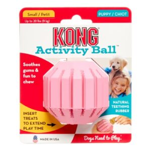 PUPPY ACTIVITY BALL SM ASST