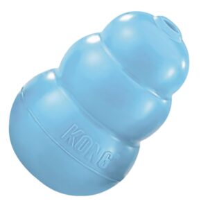 PUPPY KONG SM ASST 24
