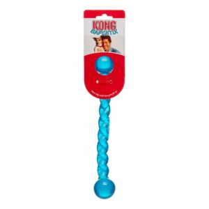 KONG SAFESTIX SM ASST 24