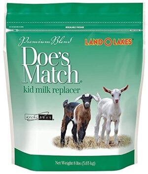 PURINA KID MILK REPLACER 8LB