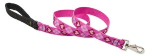 1in Puppy Love 4ft Leash