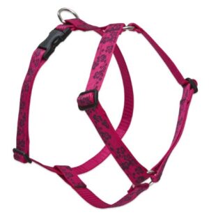 1" PLUM BLOSSOM 24-38 ROMAN HRNS