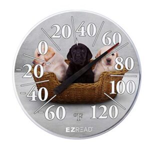 EZ READ THERMOMETER LAB PUPPIES