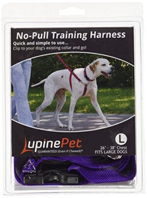 1in Purple 26-38 No Pull Hrns