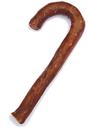 FETCHER CANDY CANE