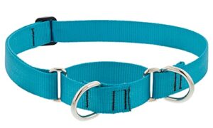 1in Aqua 19-27 Martingale