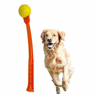 FLINGERZ TOSS & LAUNCH