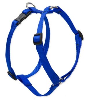 1/2in Blue 12-20 Roman Hrns