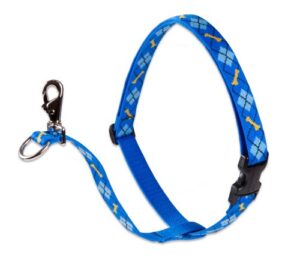 1" DAPPER DOG 26-38 NO PULL HRNS