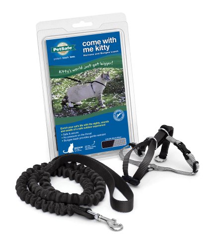 CWM KITTY HARNESS/LEASH SML - Image 4