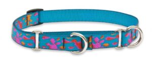3/4in Wet Paint 14-20 Martingale
