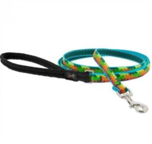 LEASH 6FT FALL COLORS 1/2