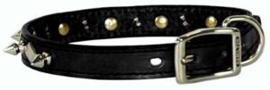 COLLAR LTHR SPIKED 26IN BLK