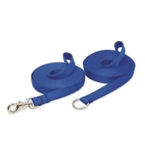 3/4in Blue 30ft Training Leash