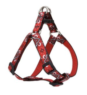 HARNESS 3/4 20-30 WILD WEST