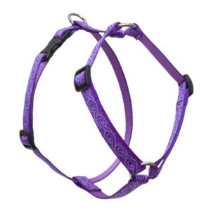 HARNESS 3/4" JELLY RL 12-20"