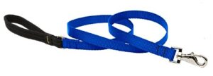 3/4in Blue 4ft Leash