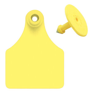 EAR TAG ALLFLEX LG YEL 26-50 25P