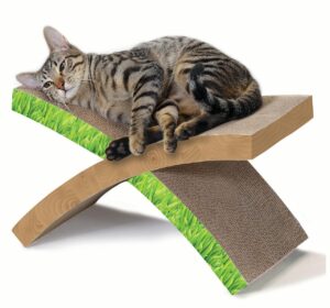 INVIRONMENT HAMMOCK