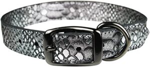 LTHR COLLAR NAT SLV 1"X22"