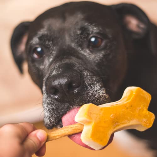 MESSY MUTT POPSCL MOLD ORANG - Image 4