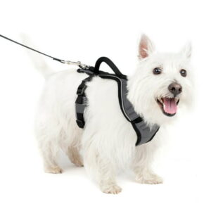 PADDED DOG HARNESS CHARCOAL SM
