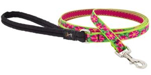 1/2in Petunias 6ft Leash