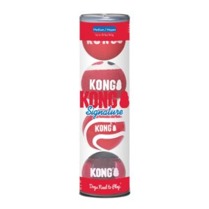 KONG DOG BALLS SM-4PK