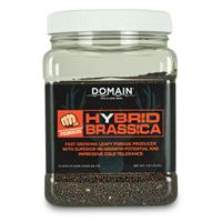 HYBRID BRASSICA POUNDER 1#