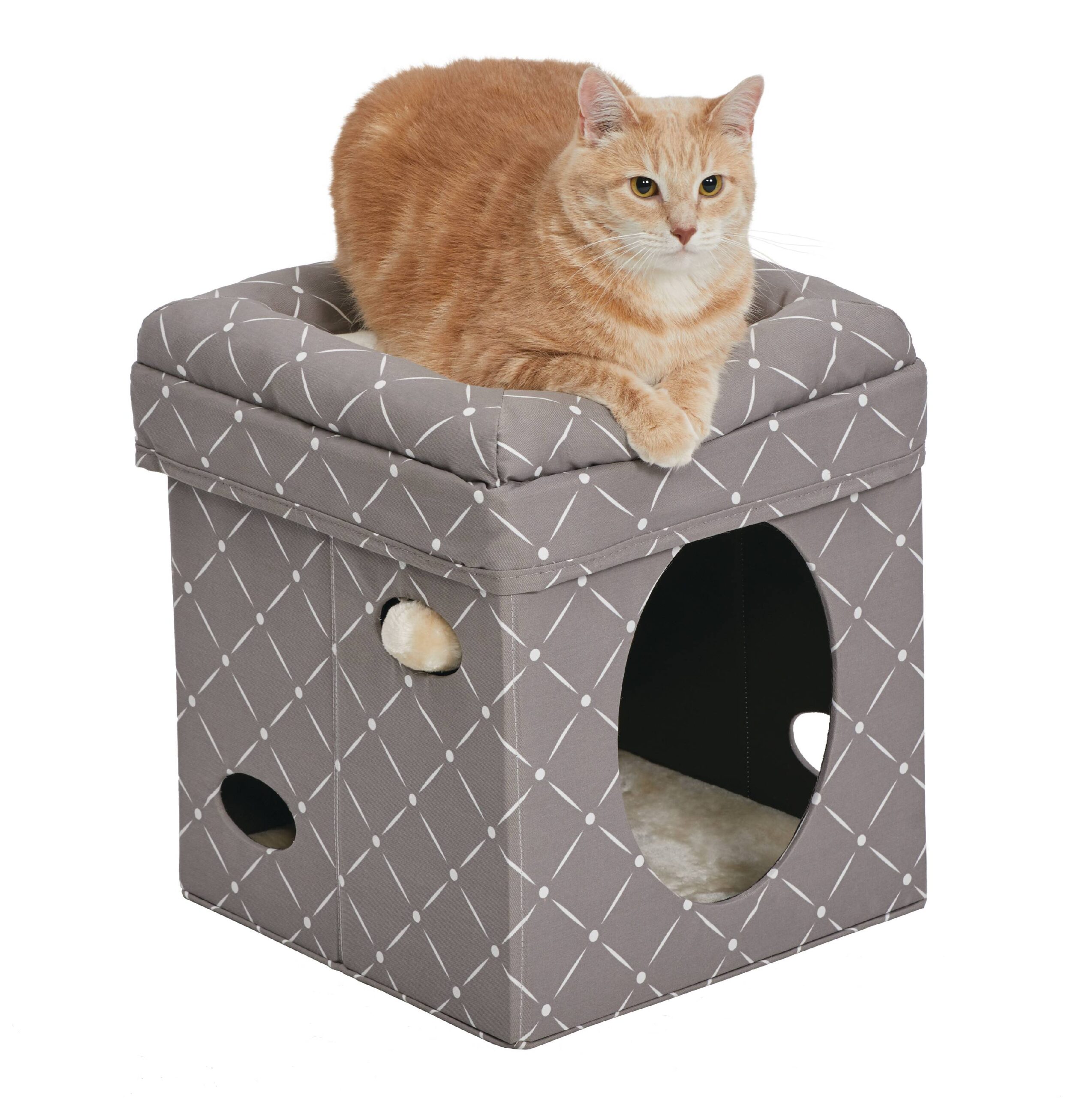 CURIOUS CAT CUBE 15X15X16.5