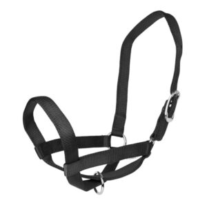 COW HALTER GATSBY NYL BLACK LG