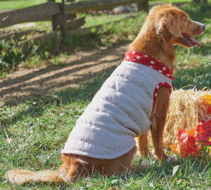 DOG COAT TWEED RED MED