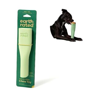 ERATED CHEW TOY GREEN SMALL