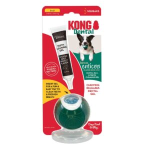 KONG DENTAL BALL GREEN SM