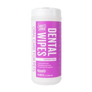 SKOUT DENTAL WIPES 50CT