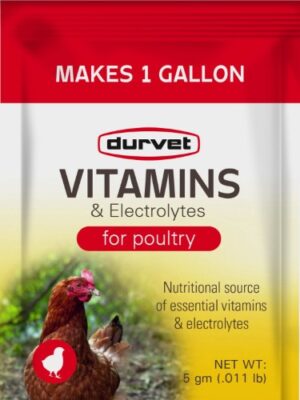 VIT & ELECTROLYTE PKT EACH