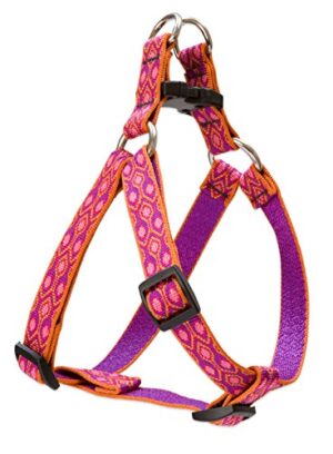 3/4" ALPEN GLOW 20-30 STEP IN HR