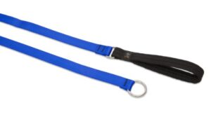 3/4in Blue 6ft Slip Leash