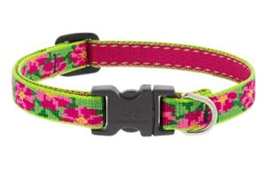 1/2in Petunias 6-9 Adj Collar