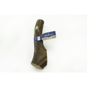 BW ELK ANTLER WHOLE XXLG