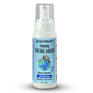 EBTH FOAM FACE BLBRY WASH PUMP