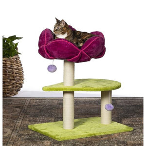 PV KITTY PAW FLOWER POWER SCRTCH