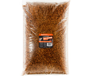 MEALWORM TO GO 11LB