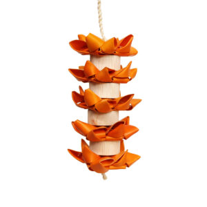 AE HAPPY BEAK HOT FLAMES SM