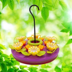 NS ORCHID TRAY HUM BIRD FDR 16OZ