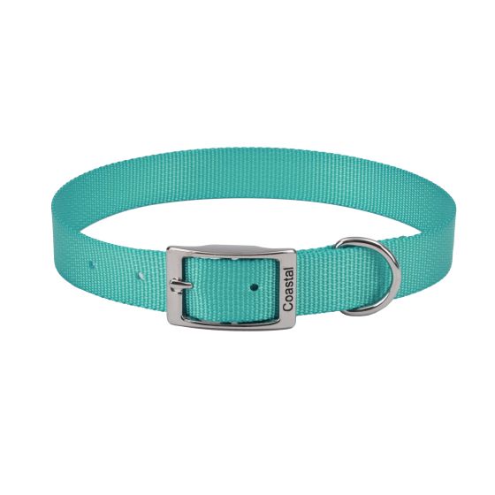 DOG COLLAR SNGL PLY TEAL 3/8X12"