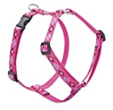 3/4" PUPPY LOVE 20-32 ROMAN HRNS