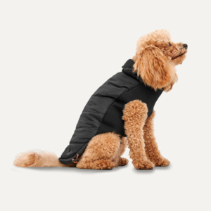 GOO-EEZ JACKET MOCK BLACK XXL